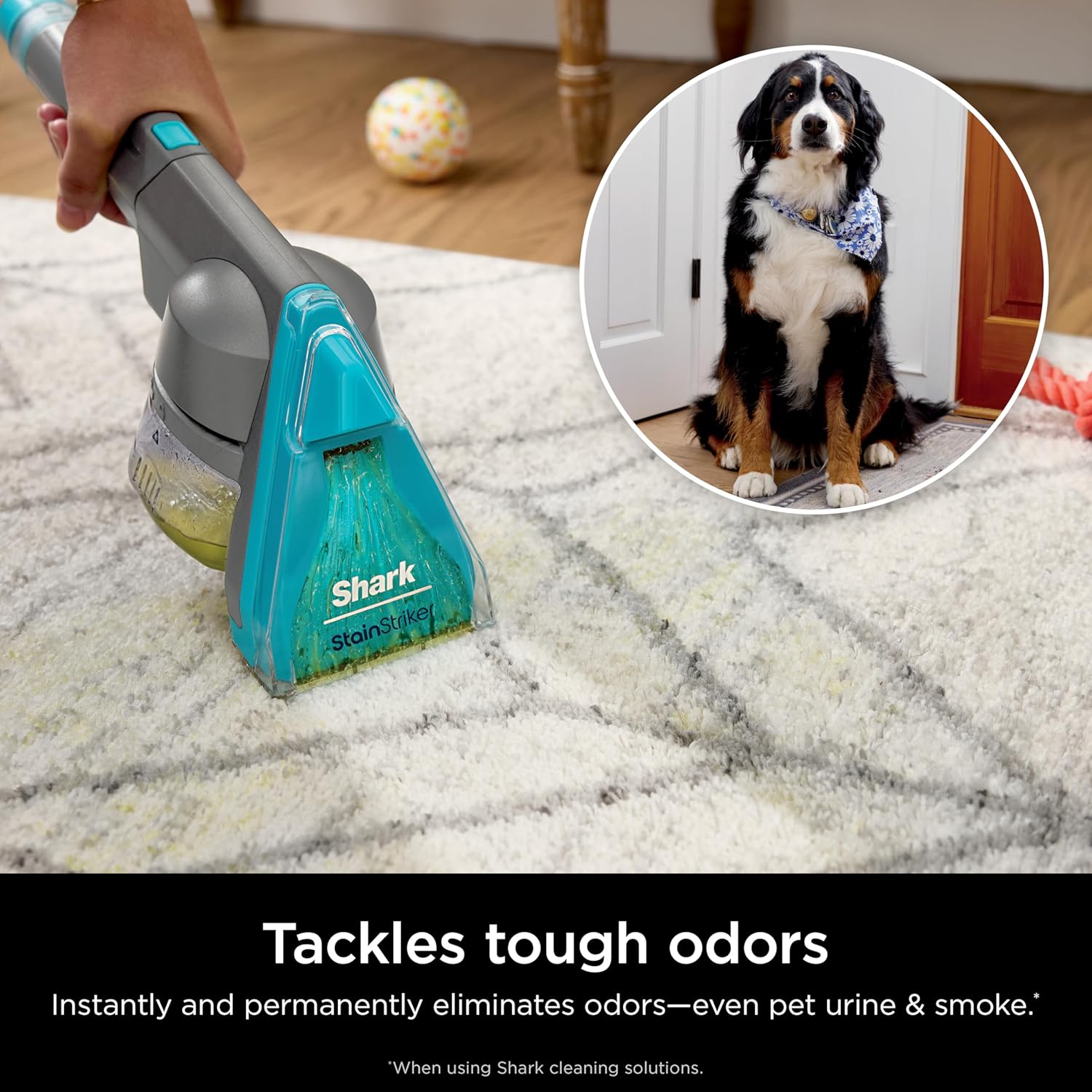 Shark CarpetXpert Carpet & Upholstery Cleaner with StainStriker, EX201 - Image 8