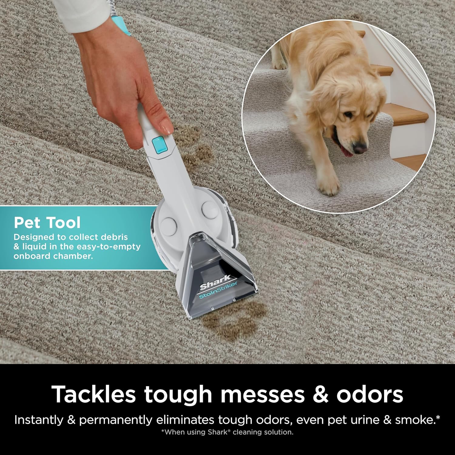 Shark CarpetXpert Carpet & Upholstery Cleaner with StainStriker, EX201 - Image 34