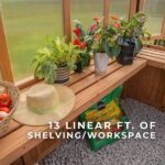 9×6 Willow Greenhouse - Image 16