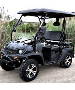 Linhai Big Hammer 200 GVX 200cc Gas Powered Side-by-Side Utility Cart with Custom Rims & Tires